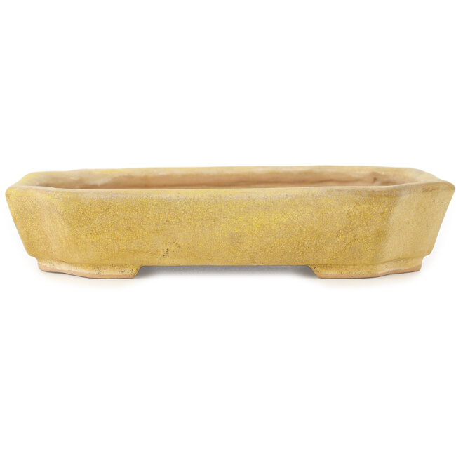 Pot à bonsaï rectangulaire jaune de Matuei Kimiko - 170 x 132 x 35 mm