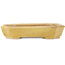 Pot à bonsaï rectangulaire jaune de Matuei Kimiko - 170 x 132 x 35 mm