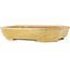 Pot à bonsaï rectangulaire jaune de Matuei Kimiko - 170 x 132 x 35 mm
