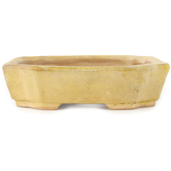 Rectangular yellow bonsai pot by Matuei Kimiko - 170 x 132 x 35 mm