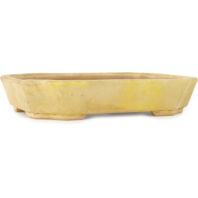 Pot à bonsaï rectangulaire jaune de Matuei Kimiko - 170 x 132 x 35 mm