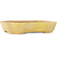 Rectangular yellow bonsai pot by Matuei Kimiko - 170 x 132 x 35 mm