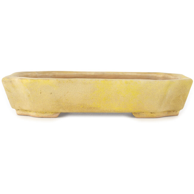 Vaso bonsai rettangolare giallo di Matuei Kimiko - 170 x 132 x 35 mm