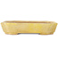 Pot à bonsaï rectangulaire jaune de Matuei Kimiko - 170 x 132 x 35 mm