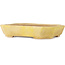 Pot à bonsaï rectangulaire jaune de Matuei Kimiko - 170 x 132 x 35 mm