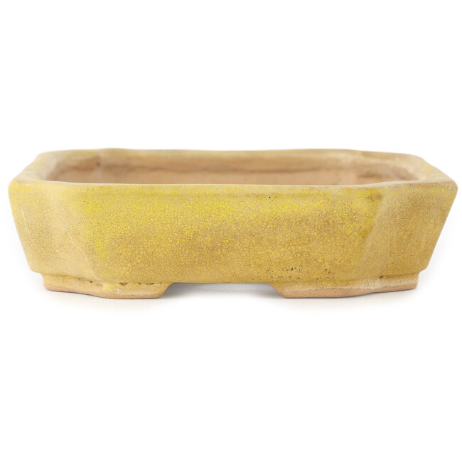Maceta rectangular amarilla para bonsái de Matuei Kimiko - 170 x 132 x 35 mm
