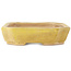 Rectangular yellow bonsai pot by Matuei Kimiko - 170 x 132 x 35 mm