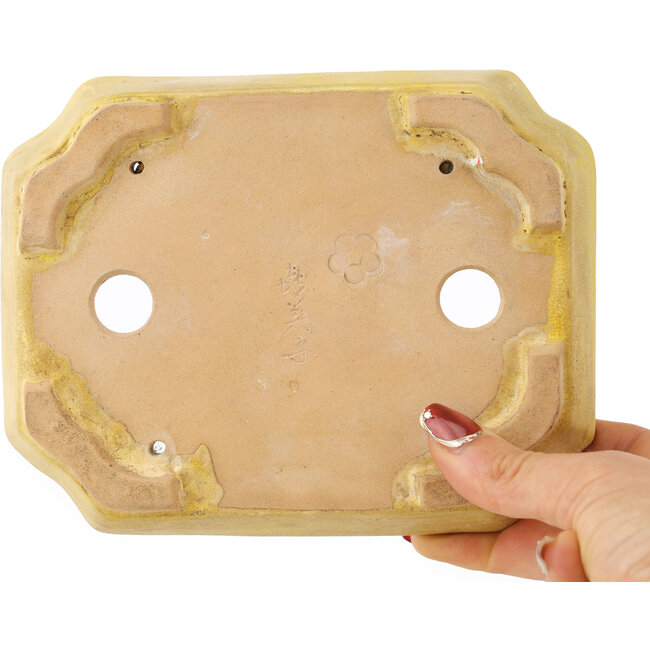 Rechthoekige gele bonsaipot van Matuei Kimiko - 170 x 132 x 35 mm