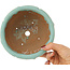 Ronde blauwe bonsaipot van Matuei Kimiko - 160 x 160 x 75 mm