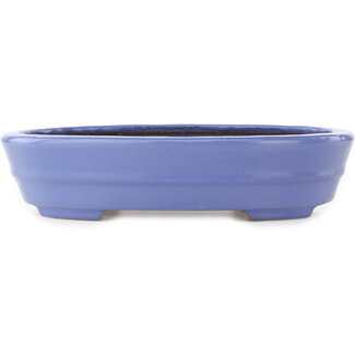  Hattori Tomoyuki Maceta para bonsái azul ovalada de 265 mm de Hattori, Tokoname, Japón