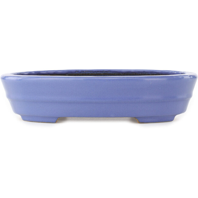 Maceta ovalada azul para bonsái de Hattori - 265 x 195 x 61 mm