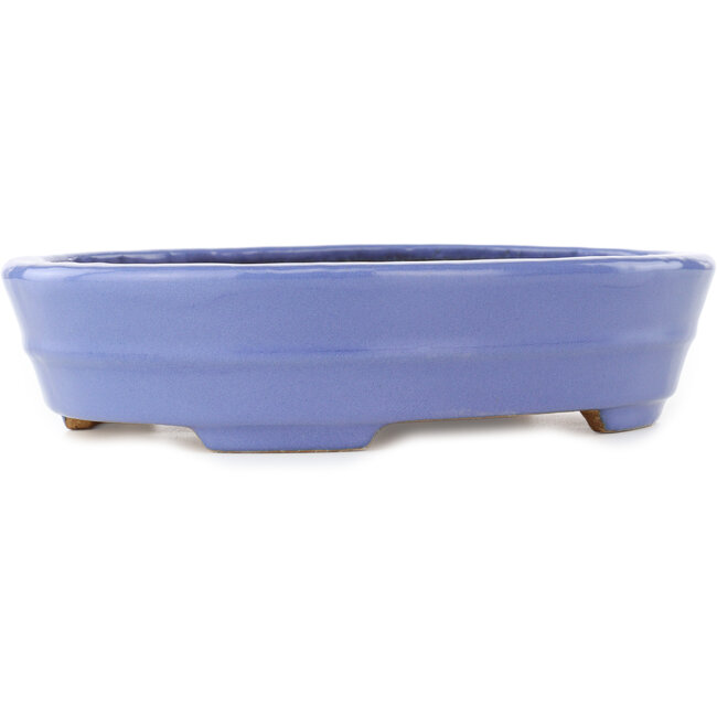 Vaso bonsai ovale blu di Hattori - 265 x 195 x 61 mm