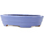Oval blue bonsai pot by Hattori - 265 x 195 x 61 mm