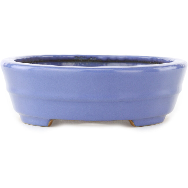 Vaso bonsai ovale blu di Hattori - 265 x 195 x 61 mm