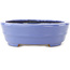 Oval blue bonsai pot by Hattori - 265 x 195 x 61 mm