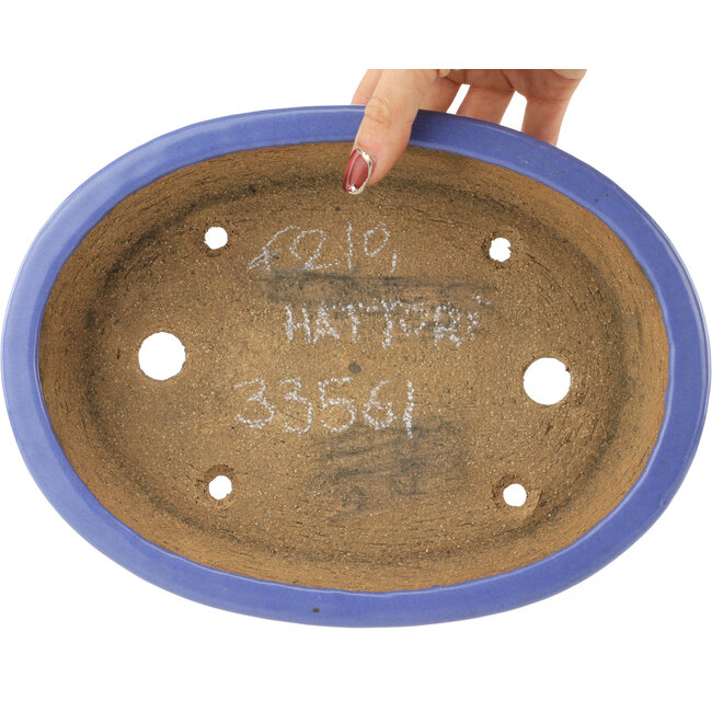 Ovale blauwe bonsai pot van Hattori - 265 x 195 x 61 mm