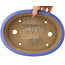 Oval blue bonsai pot by Hattori - 265 x 195 x 61 mm