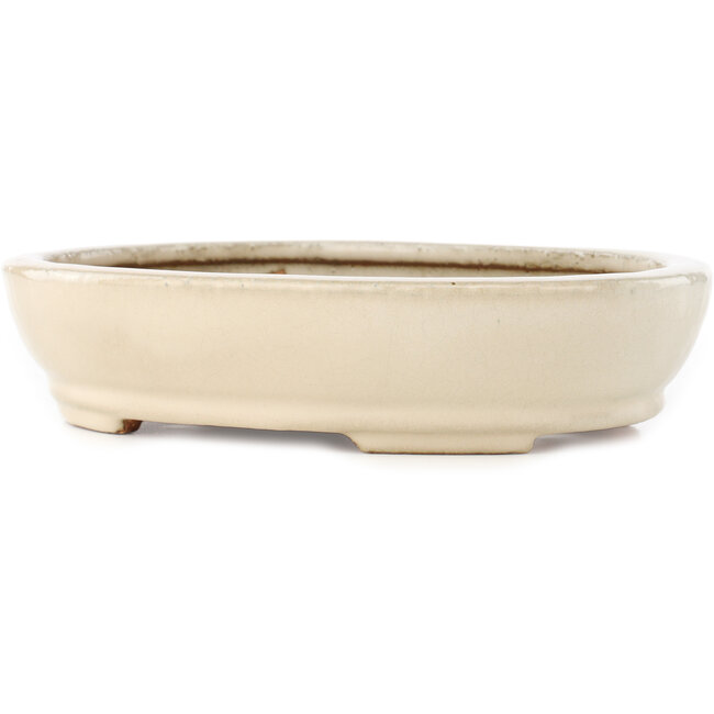 Vaso bonsai ovale bianco sporco di Hattori - 265 x 198 x 60 mm