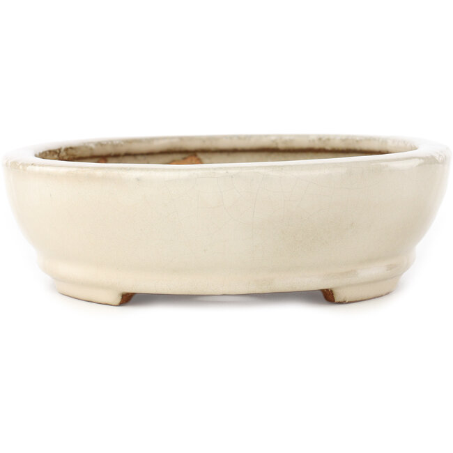 Pot à bonsaï ovale blanc cassé de Hattori - 265 x 198 x 60 mm