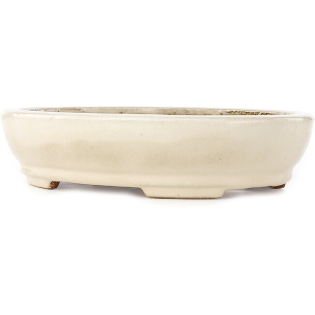 Ovale gebroken witte bonsai pot van Hattori - 265 x 198 x 60 mm