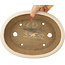 Maceta ovalada para bonsái de color blanco roto de Hattori - 265 x 198 x 60 mm