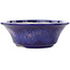Round blue and pink bonsai pot by Koyou - 167 x 167 x 58 mm