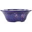 Round blue and pink bonsai pot by Koyou - 167 x 167 x 58 mm