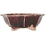 Lotus rode en witte bonsai pot van Koyou - 180 x 180 x 60 mm