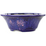 Round blue and pink bonsai pot by Koyou - 167 x 167 x 58 mm