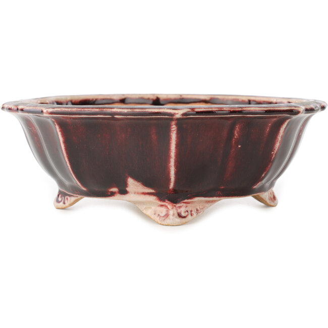 Lotus red and white bonsai pot by Koyou - 180 x 180 x 60 mm
