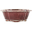 Mokko red and white bonsai pot by Koyou - 163 x 140 x 58 mm