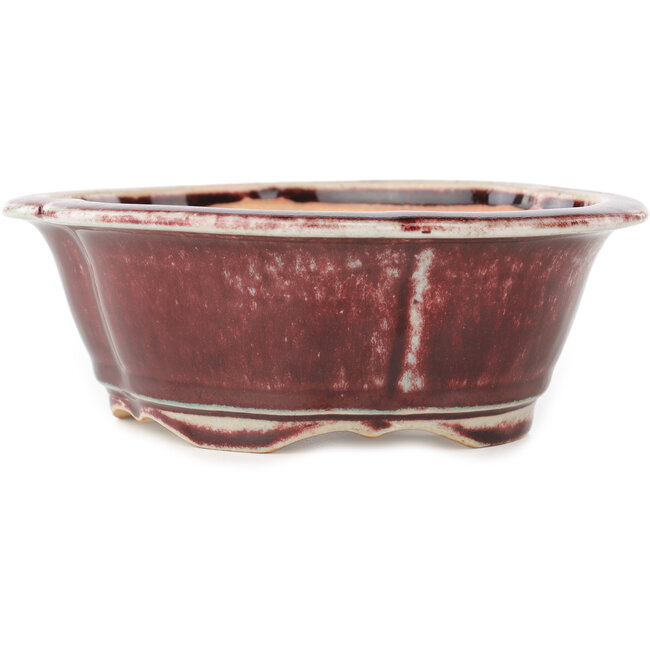 Mokko rode en witte bonsai pot van Koyou - 163 x 140 x 58 mm