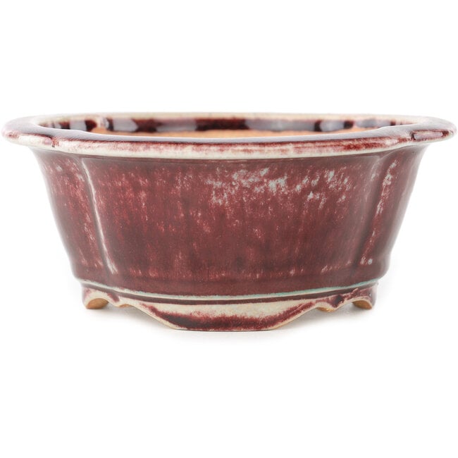 Maceta para bonsái Mokko roja y blanca de Koyou - 163 x 140 x 58 mm