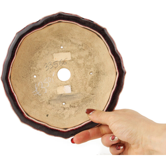 Lotus rode en witte bonsai pot van Koyou - 180 x 180 x 60 mm