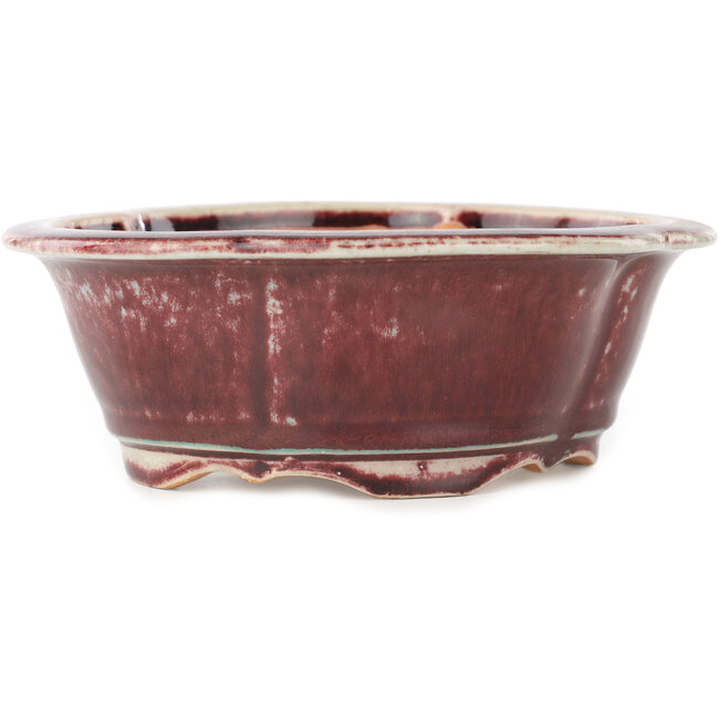 Maceta para bonsái Mokko roja y blanca de Koyou - 163 x 140 x 58 mm