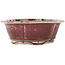 Vaso bonsai Mokko rosso e bianco di Koyou - 163 x 140 x 58 mm