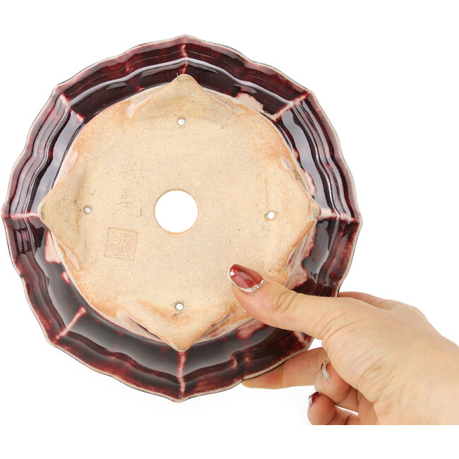 Pot à bonsaï Lotus rouge et blanc de Koyou - 180 x 180 x 60 mm