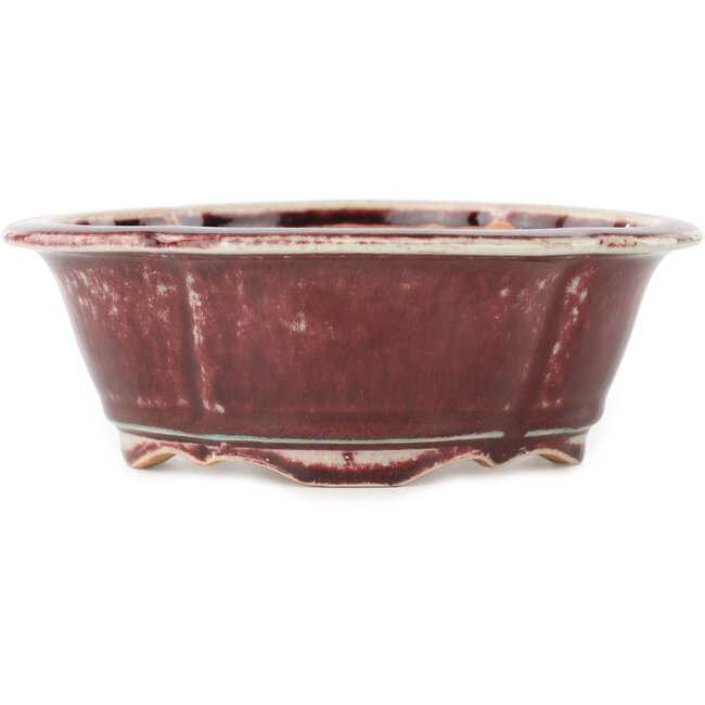 Maceta para bonsái Mokko roja y blanca de Koyou - 163 x 140 x 58 mm