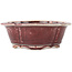 Vaso bonsai Mokko rosso e bianco di Koyou - 163 x 140 x 58 mm