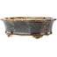 Oval brown multicolor bonsai pot by Koyou - 155 x 127 x 50 mm