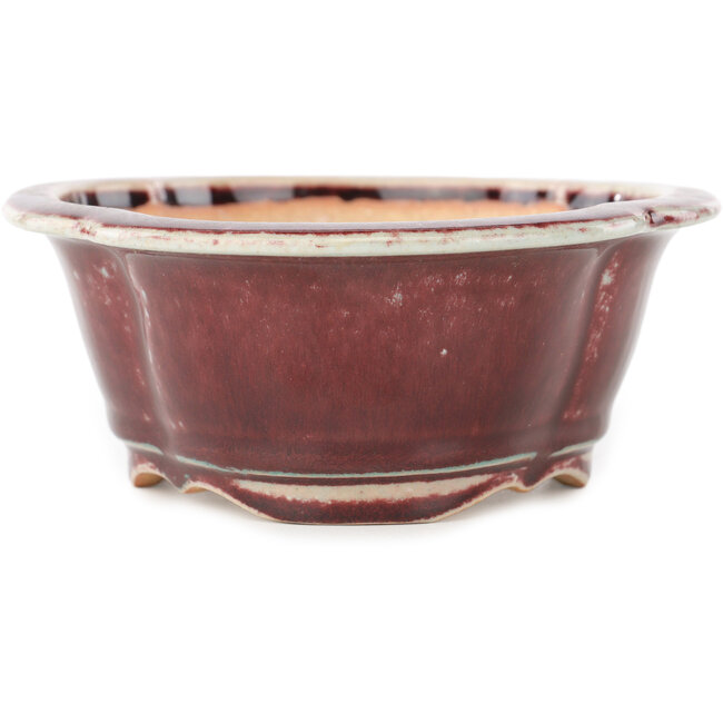 Mokko rot-weißer Bonsai-Topf von Koyou - 163 x 140 x 58 mm