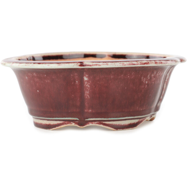 Maceta para bonsái Mokko roja y blanca de Koyou - 163 x 140 x 58 mm