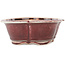 Mokko red and white bonsai pot by Koyou - 163 x 140 x 58 mm