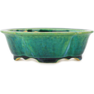 Koyo - Koichirou Aiba  Pot à bonsaï vert mokko 160 mm par Koyou, Tokoname, Japon