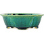 Pot à bonsaï vert Mokko par Koyou - 160 x 138 x 52 mm