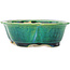 Maceta para bonsai Mokko verde de Koyou - 160 x 138 x 52 mm