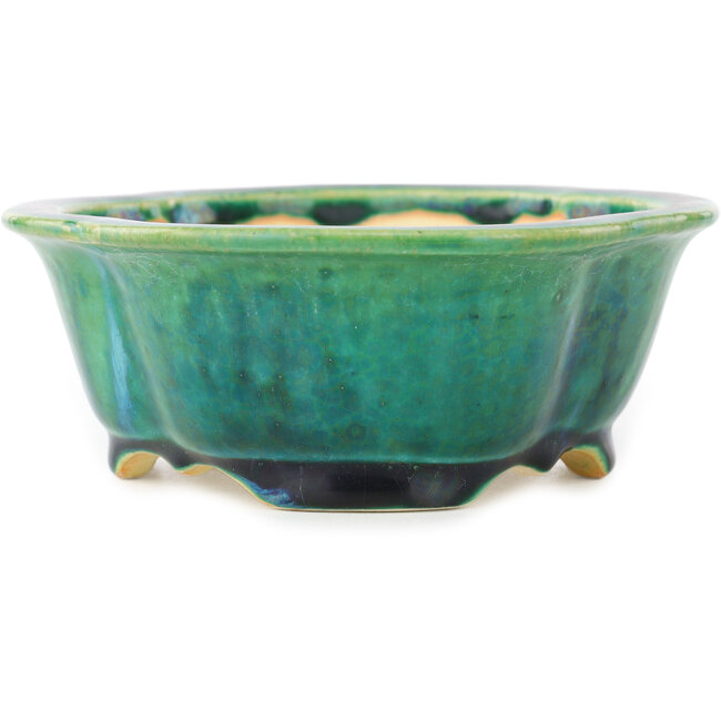 Mokko grüner Bonsaitopf von Koyou – 160 x 138 x 52 mm