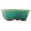 Pot à bonsaï vert Mokko par Koyou - 160 x 138 x 52 mm