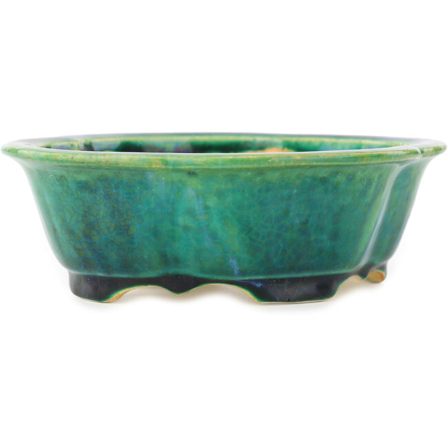 Mokko grüner Bonsaitopf von Koyou – 160 x 138 x 52 mm