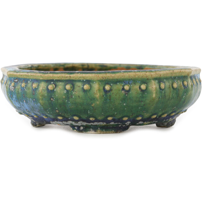 Runder grün-blauer Bonsai-Topf von Koyou - 127 x 127 x 37 mm